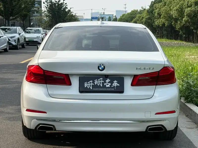 2020 BMW 5 Series 525Li Luxury Package — миниатюра 5
