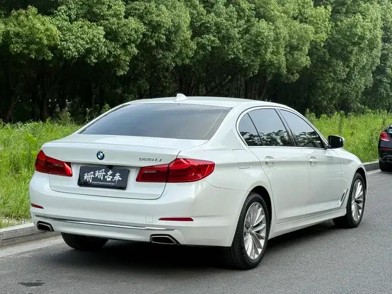 2020 BMW 5 Series 525Li Luxury Package — миниатюра 6