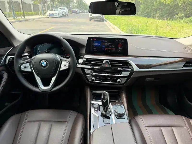 2020 BMW 5 Series 525Li Luxury Package — миниатюра 8