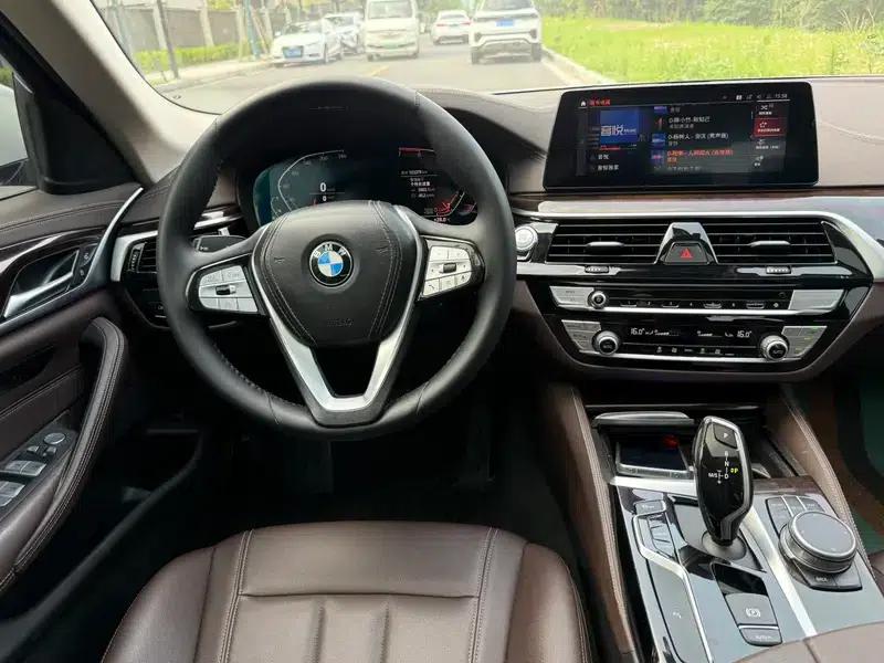 2020 BMW 5 Series 525Li Luxury Package — миниатюра 9