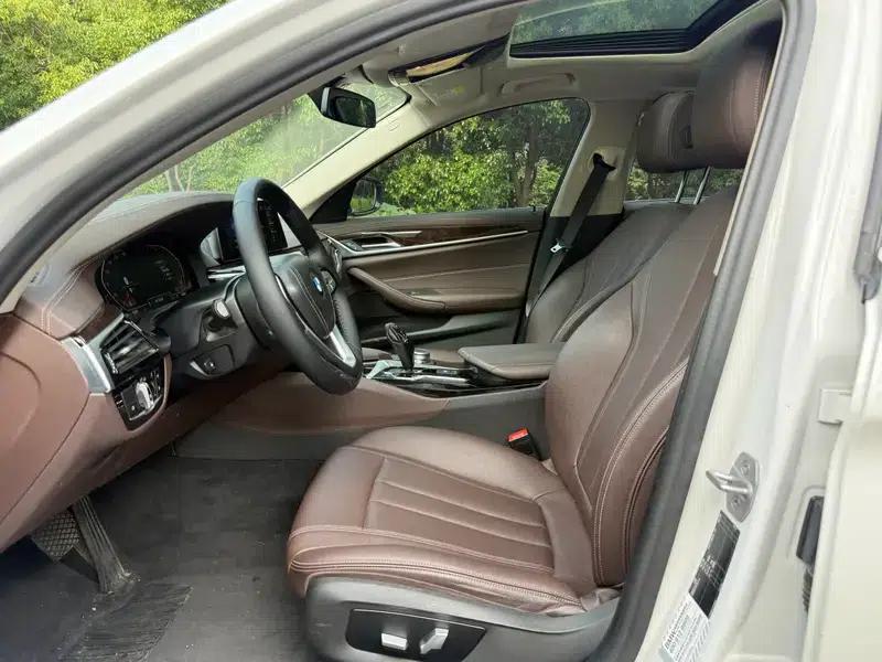 2020 BMW 5 Series 525Li Luxury Package — миниатюра 10