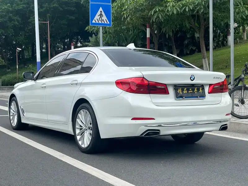 2019 BMW 5 Series Facelift 525Li Luxury Package — миниатюра 5