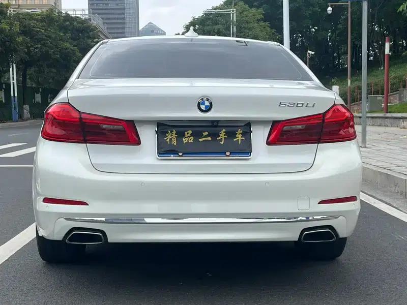 2019 BMW 5 Series Facelift 525Li Luxury Package — миниатюра 6