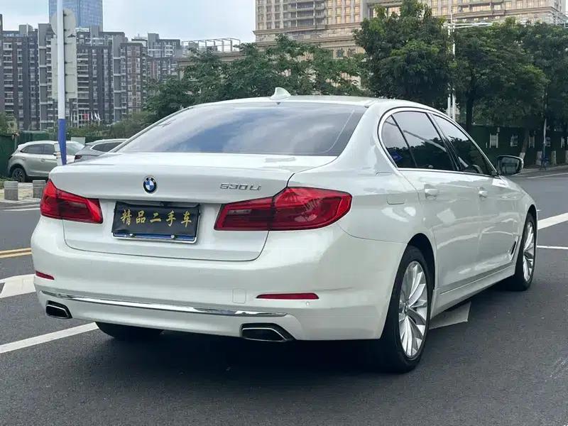 2019 BMW 5 Series Facelift 525Li Luxury Package — миниатюра 7