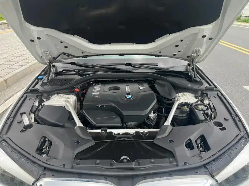 2019 BMW 5 Series Facelift 525Li Luxury Package — миниатюра 8