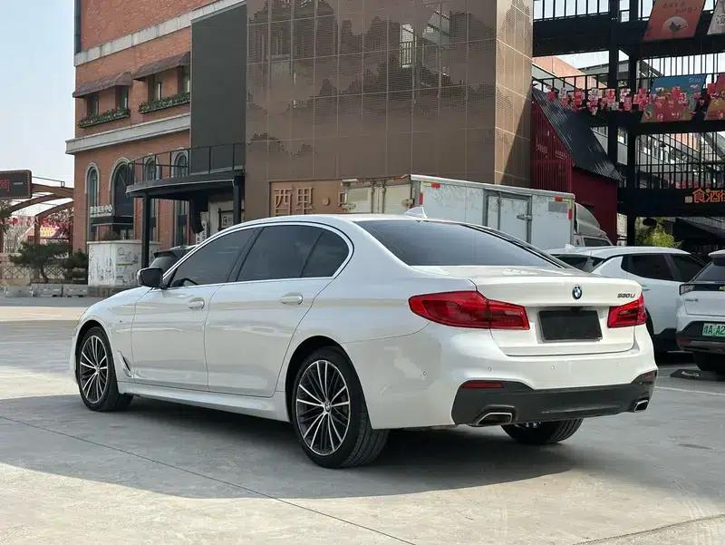 2020 BMW 5 Series 530Li Leading Edition M Sport Package — миниатюра 5