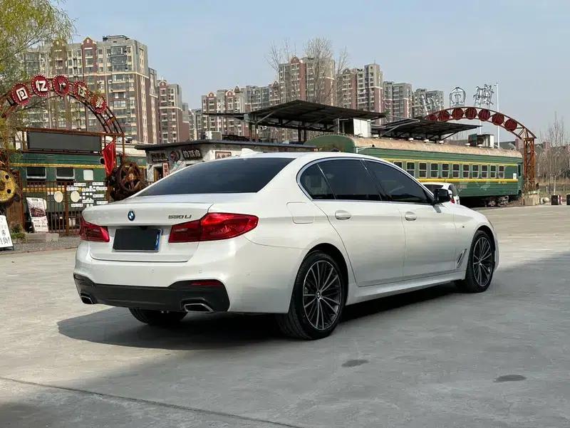 2020 BMW 5 Series 530Li Leading Edition M Sport Package — миниатюра 7