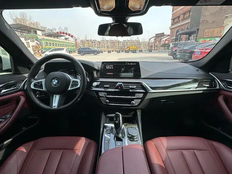 2020 BMW 5 Series 530Li Leading Edition M Sport Package — миниатюра 10