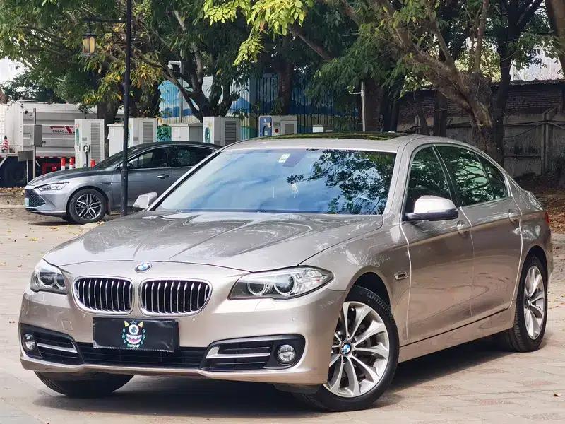 2014 BMW 5 Series 520Li Elegant Edition — миниатюра 1
