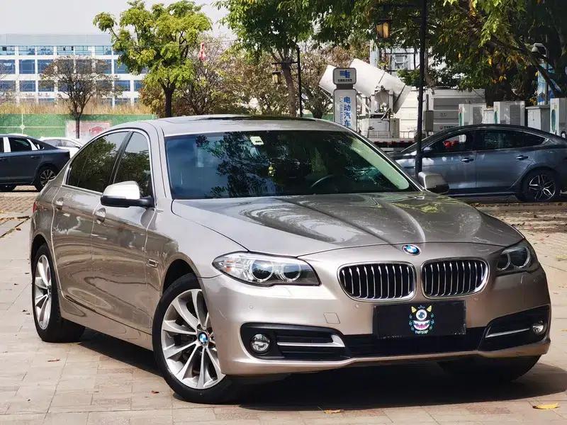 2014 BMW 5 Series 520Li Elegant Edition — миниатюра 3