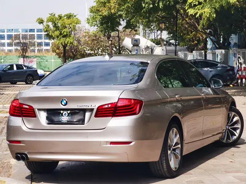 2014 BMW 5 Series 520Li Elegant Edition — миниатюра 7