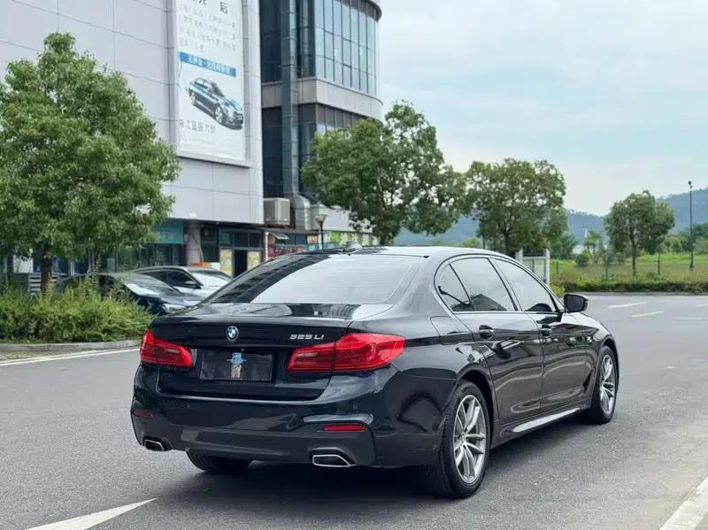 2020 BMW 5 Series 525Li M Sport Package — миниатюра 7