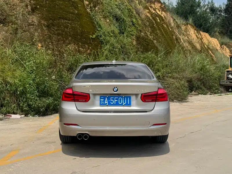 2017 BMW 3 Series 320Li Fashion Edition — миниатюра 5