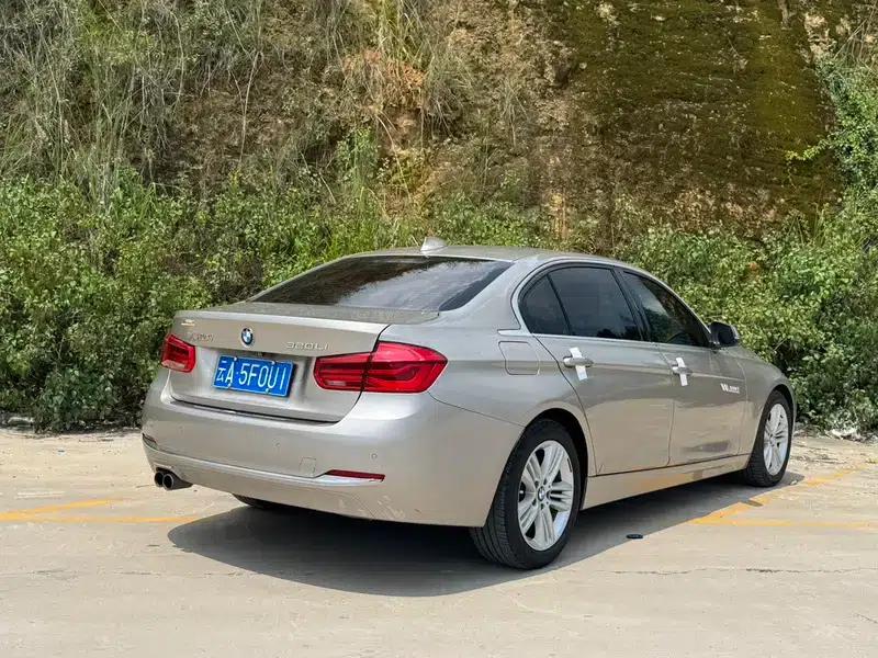 2017 BMW 3 Series 320Li Fashion Edition — миниатюра 6