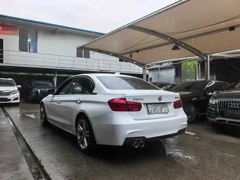 2019 BMW 3 Series 320Li M Sport Package — миниатюра 4