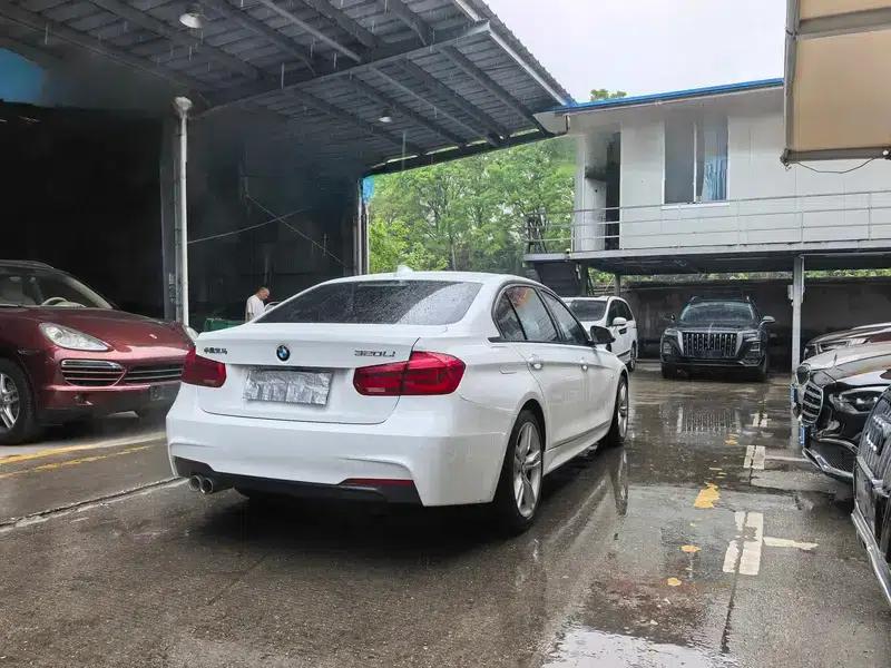 2019 BMW 3 Series 320Li M Sport Package — миниатюра 6