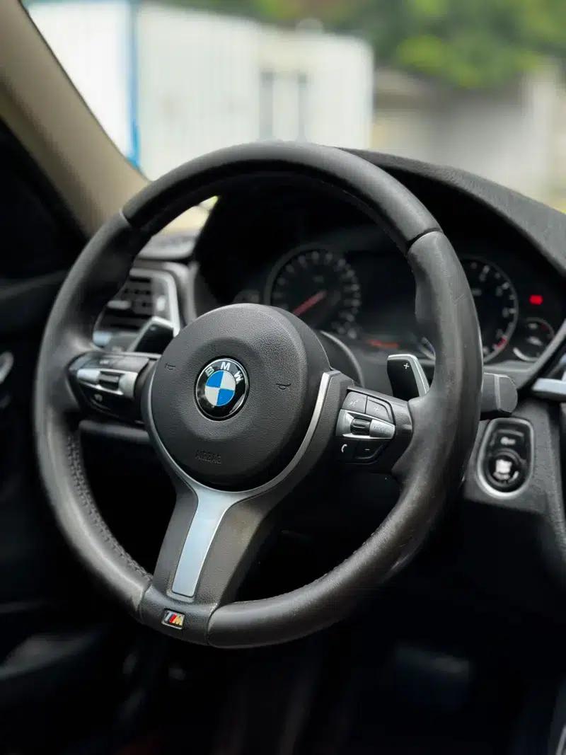 2018 BMW 3 Series 320Li Leading M Sport Package — миниатюра 13