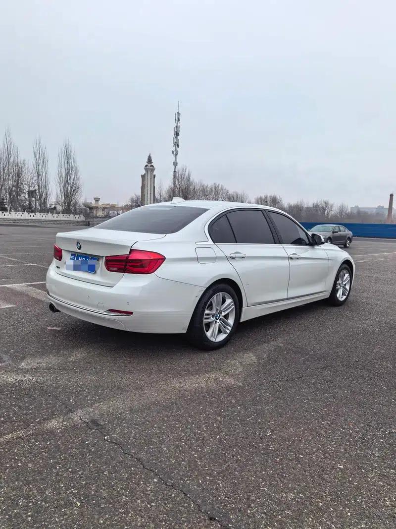 2017 BMW 3 Series 320Li xDrive Fashion Edition — миниатюра 5