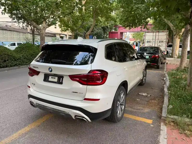 BMW X3 2018 xDrive25i Luxury Package (China V Emission Standard) — миниатюра 6