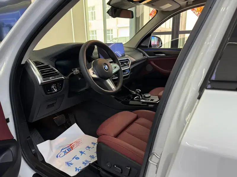 BMW X3 2023 xDrive30i Leading Edition M Sport Package — миниатюра 10