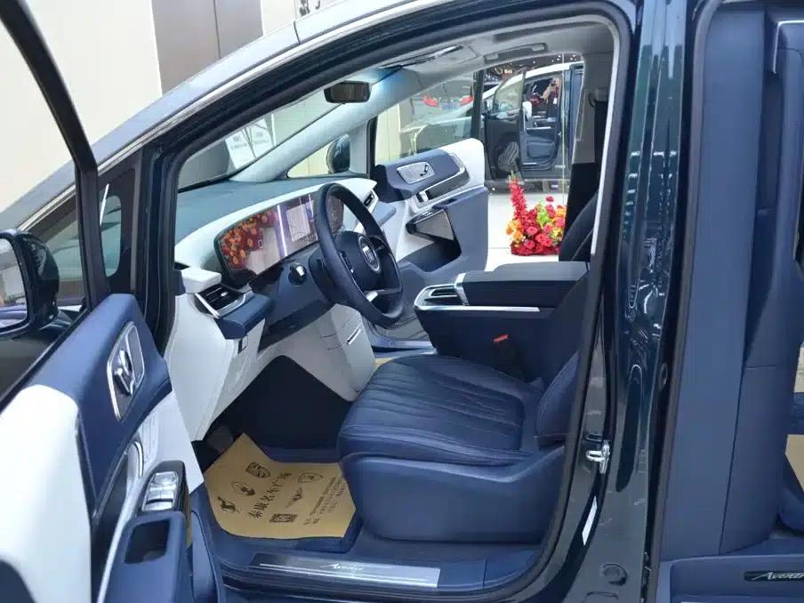 Century 2023 2.0T Four-Seat Private Edition — миниатюра 4