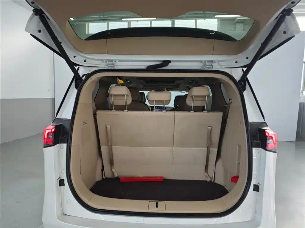 Buick GL8 PHEV 2025 Land Cruiser Premium Edition — миниатюра 11