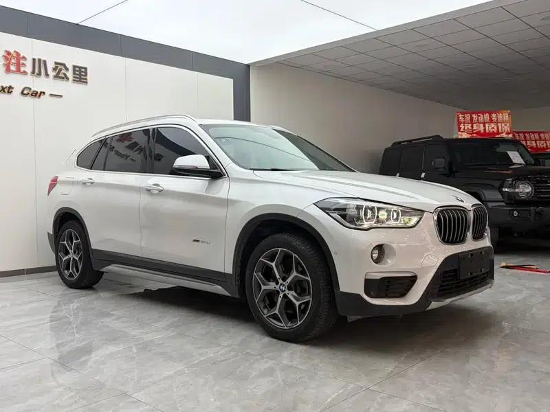 BMW X1 2018 xDrive20Li Luxury — миниатюра 3