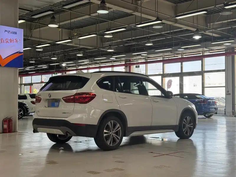 BMW X1 2019 xDrive20Li Premium — миниатюра 6