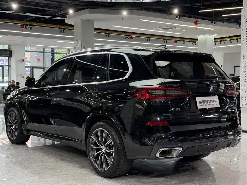 BMW X5 2022 Facelift xDrive 30Li M Sport Package — миниатюра 4