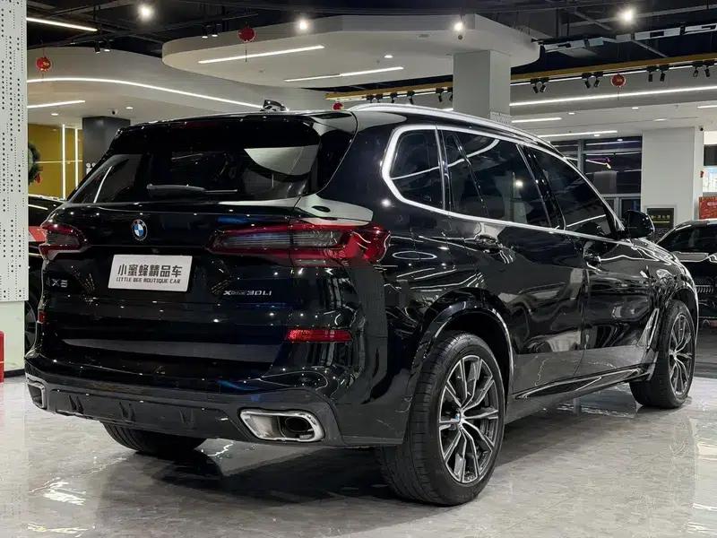 BMW X5 2022 Facelift xDrive 30Li M Sport Package — миниатюра 6