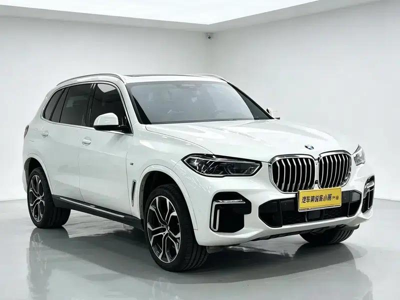 BMW X5 2022 xDrive 40Li Luxury M Sport Package — миниатюра 3