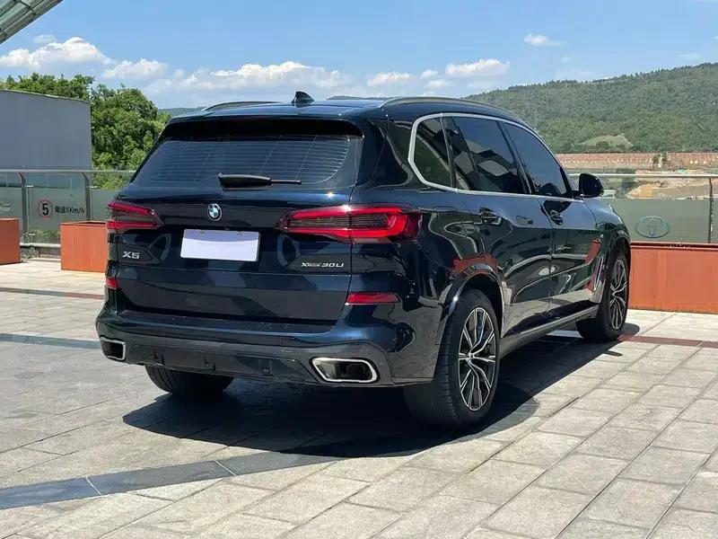 BMW X5 2022 xDrive 30Li M Sport Package — миниатюра 4