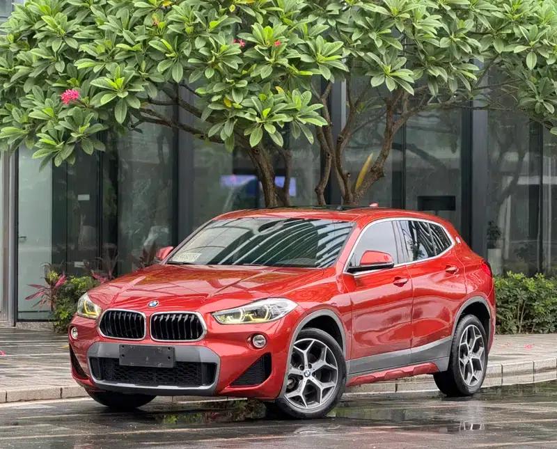 BMW X2 (Imported) 2019 sDrive20i M Sport Package (China VI Emission Standard) — миниатюра 1