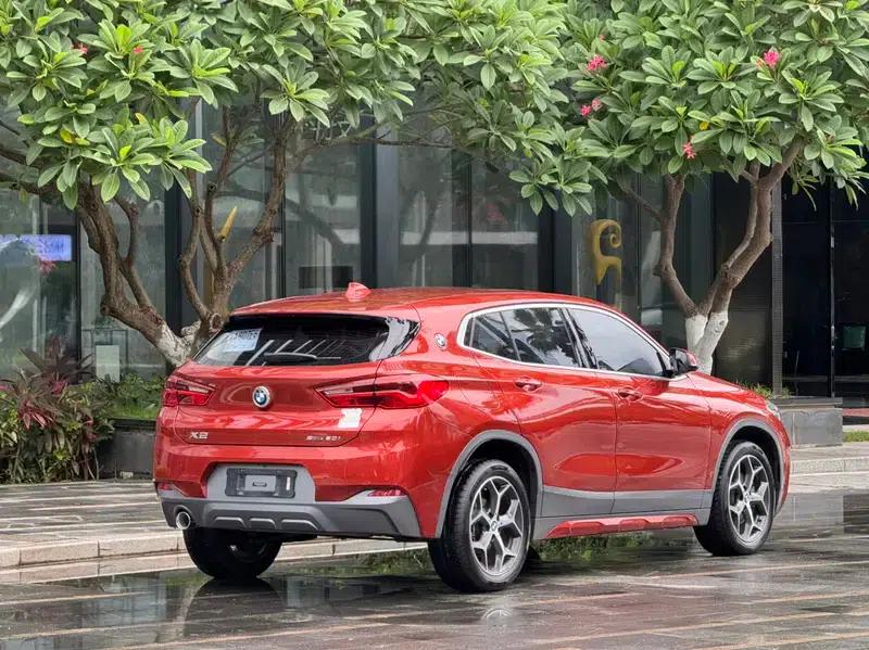 BMW X2 (Imported) 2019 sDrive20i M Sport Package (China VI Emission Standard) — миниатюра 6