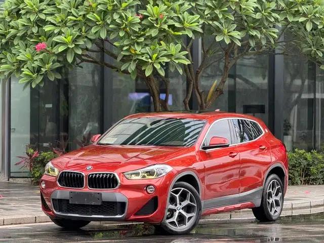 BMW X2 (Imported) 2019 sDrive20i M Sport Package (China VI Emission Standard)
