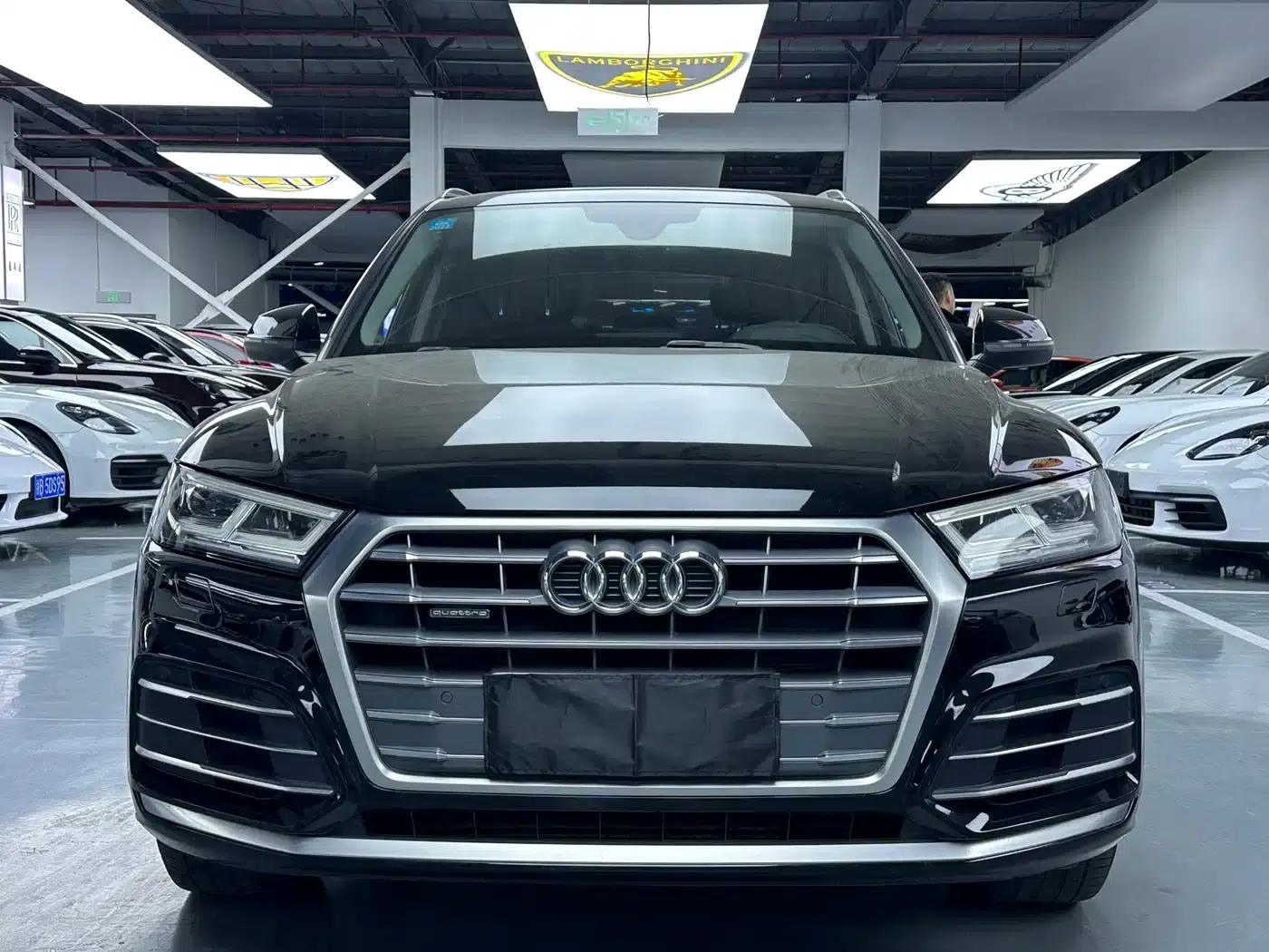 Audi Q5L 2020 40 TFSI Luxury Fashion Edition — миниатюра 2