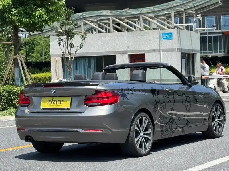 2019 BMW 2 Series (Imported) 225i Convertible Coupe Sport Design Package — миниатюра 11