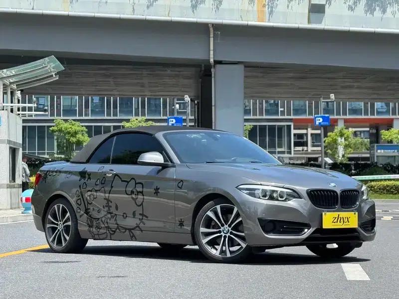 2019 BMW 2 Series (Imported) 225i Convertible Coupe Sport Design Package — миниатюра 12