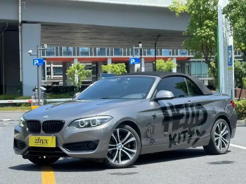 2019 BMW 2 Series (Imported) 225i Convertible Coupe Sport Design Package — миниатюра 14