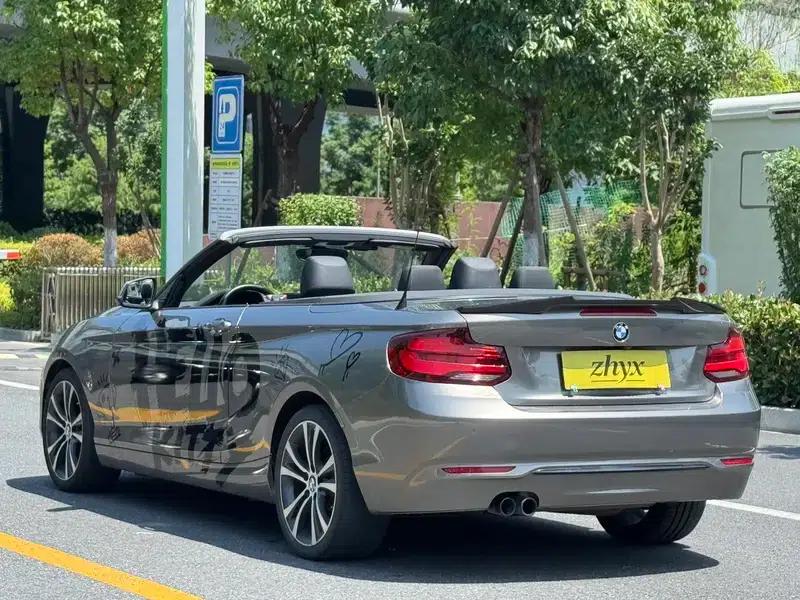 2019 BMW 2 Series (Imported) 225i Convertible Coupe Sport Design Package — миниатюра 5