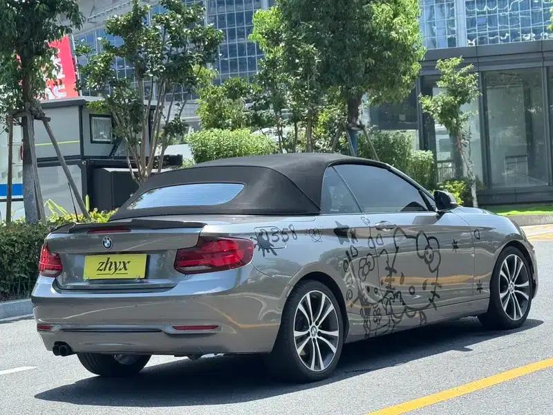 2019 BMW 2 Series (Imported) 225i Convertible Coupe Sport Design Package — миниатюра 7