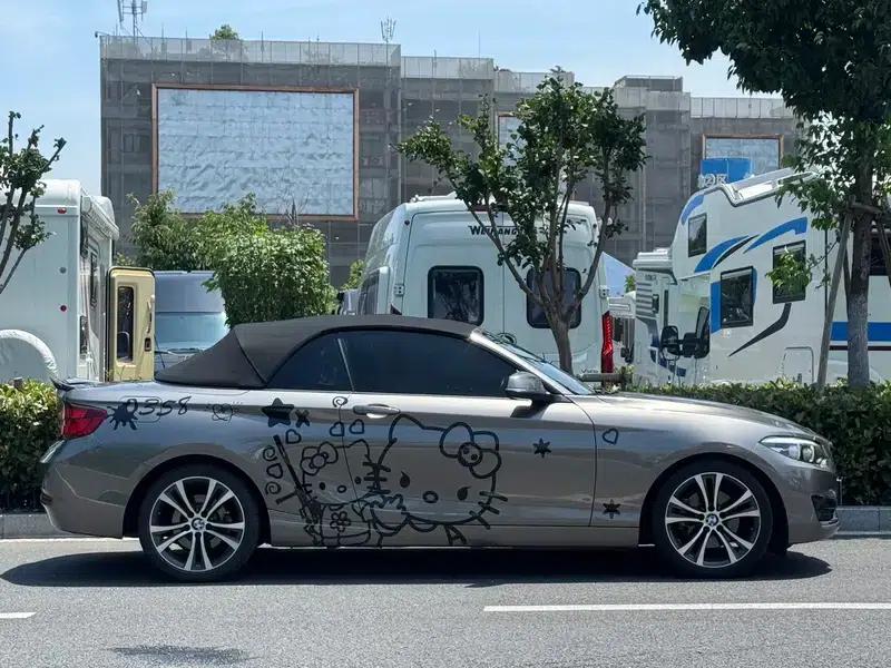 2019 BMW 2 Series (Imported) 225i Convertible Coupe Sport Design Package — миниатюра 8