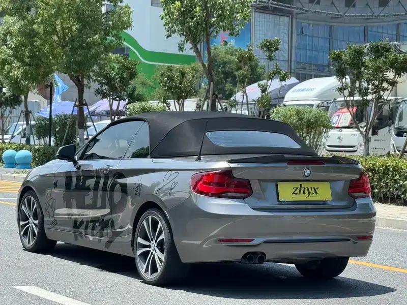 2019 BMW 2 Series (Imported) 225i Convertible Coupe Sport Design Package — миниатюра 10