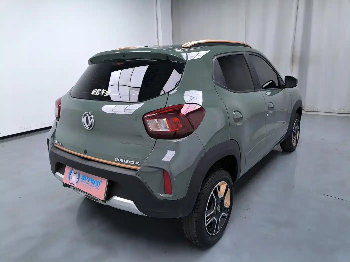 Nano BOX 2022 Champion Edition Light Breeze Version 201KM Standard Model — миниатюра 2