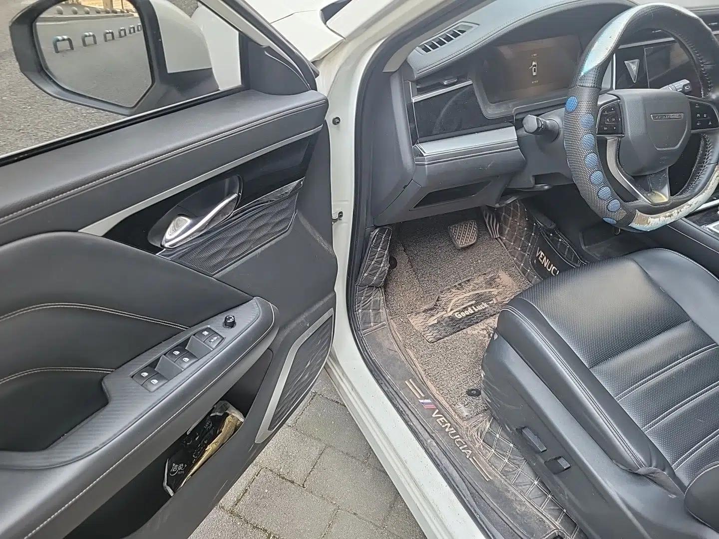 Venucia Star 2020 260T Automatic 48V Mild Hybrid Turbocharged Star Edition — миниатюра 16