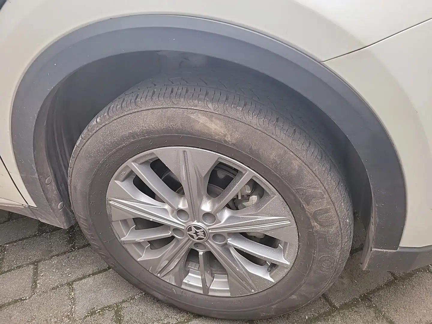 Venucia Star 2020 260T Automatic 48V Mild Hybrid Turbocharged Star Edition — миниатюра 8