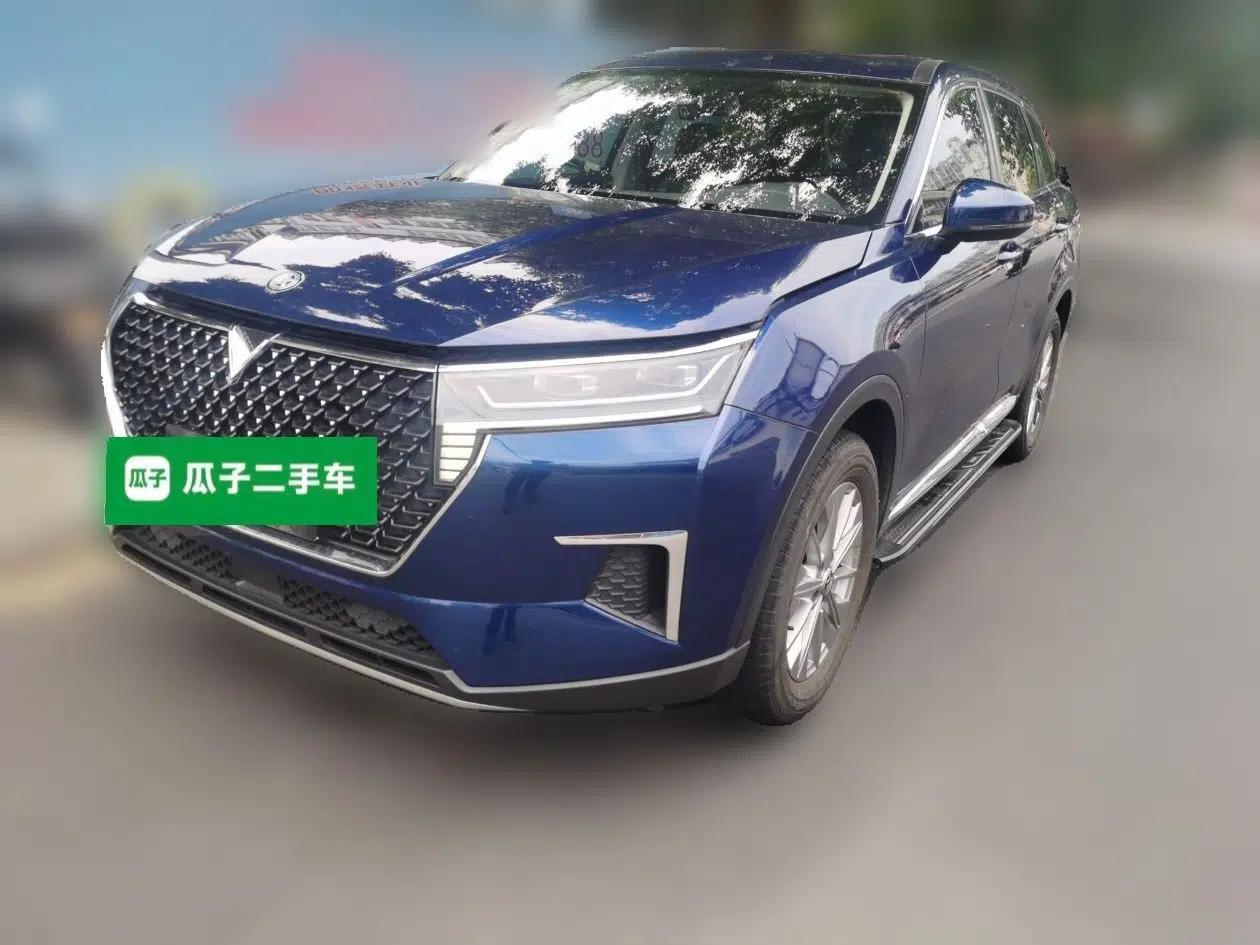 Venucia Star 2020 260T Automatic XingShang Edition — миниатюра 1