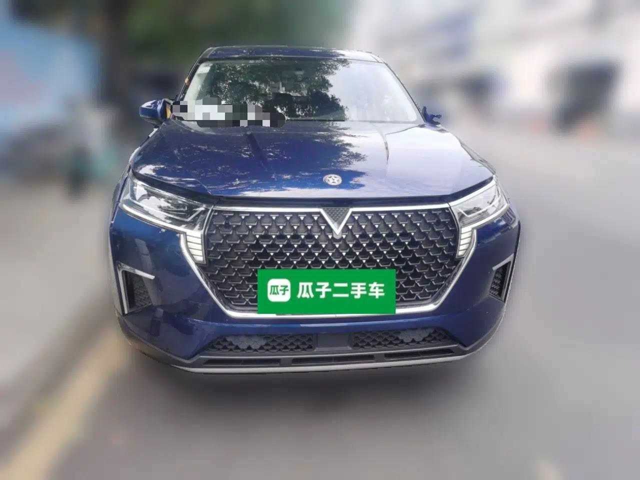 Venucia Star 2020 260T Automatic XingShang Edition — миниатюра 2