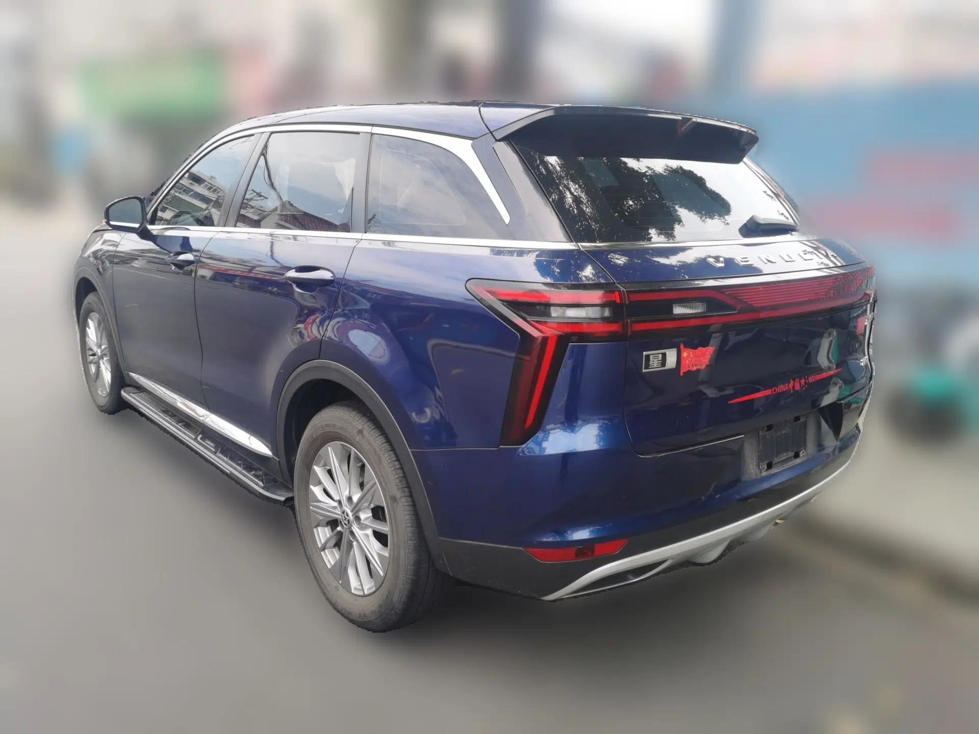 Venucia Star 2020 260T Automatic XingShang Edition — миниатюра 4