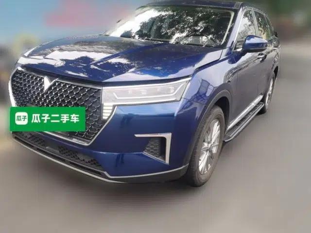 Venucia Star 2020 260T Automatic XingShang Edition